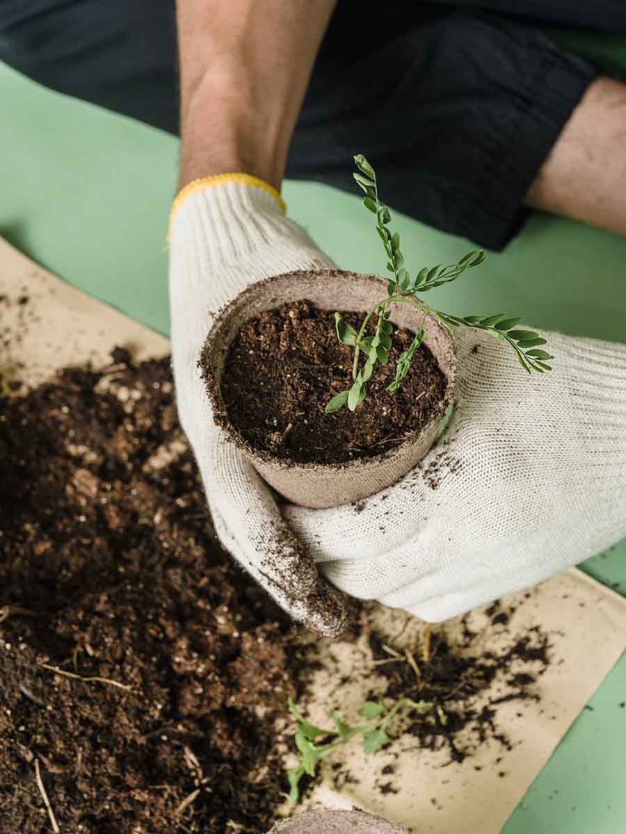 Sustainability